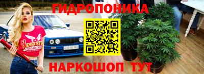 крисы Дмитров